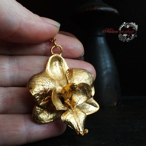 Zlacený Květ Orchidej — foto 2