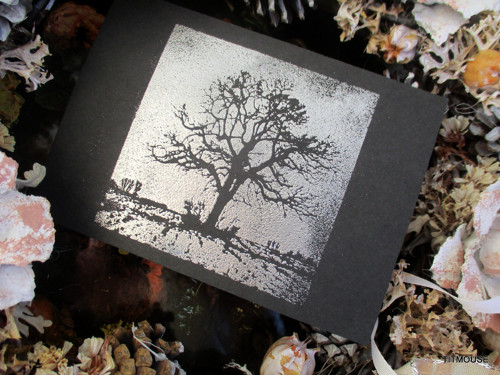 Osamělost - kondolence — foto 2