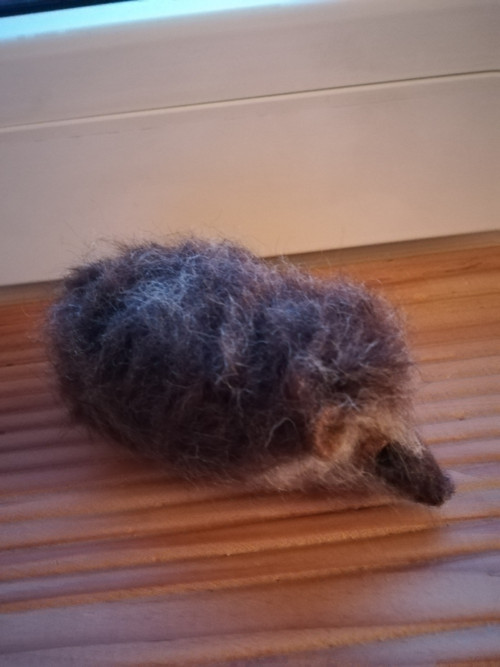 Ježek u snídaně — foto 4