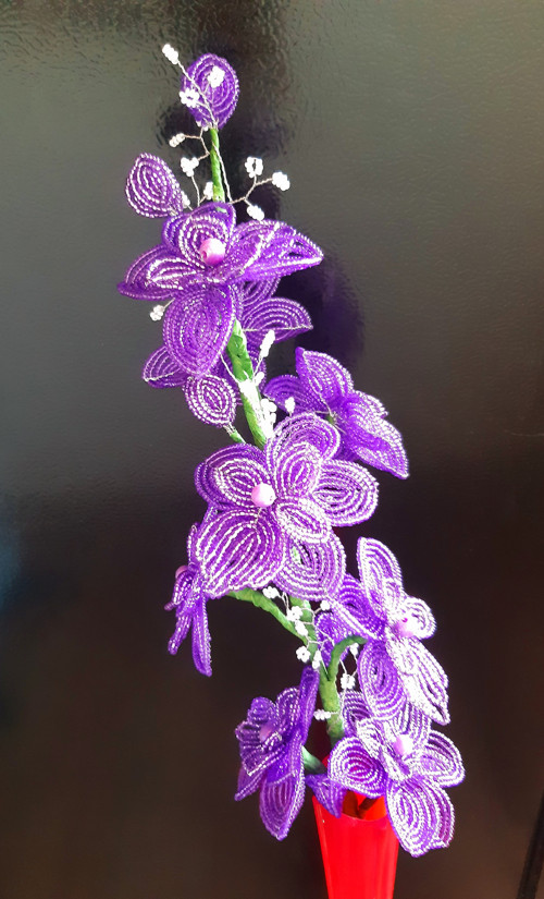 Orchidea — foto 2