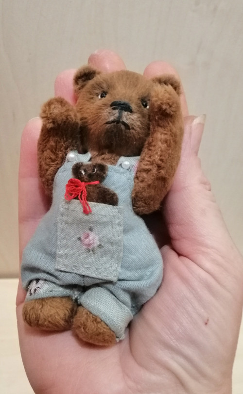 Mini medvídek — foto 2