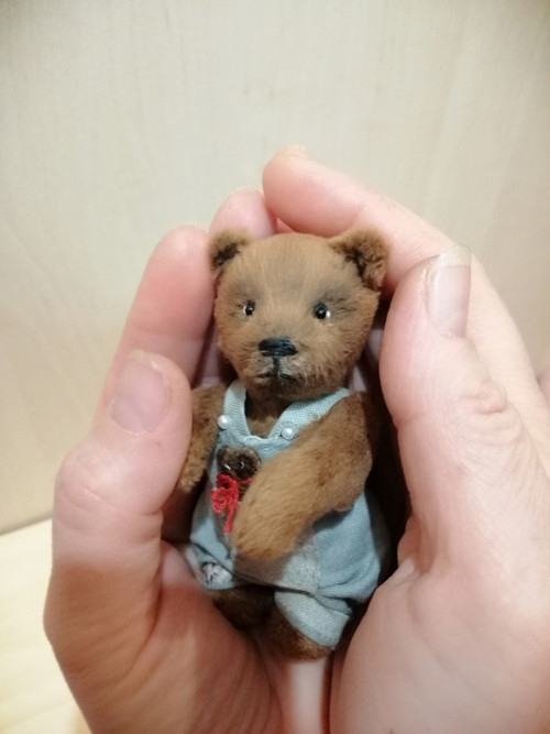Mini medvídek — foto 4