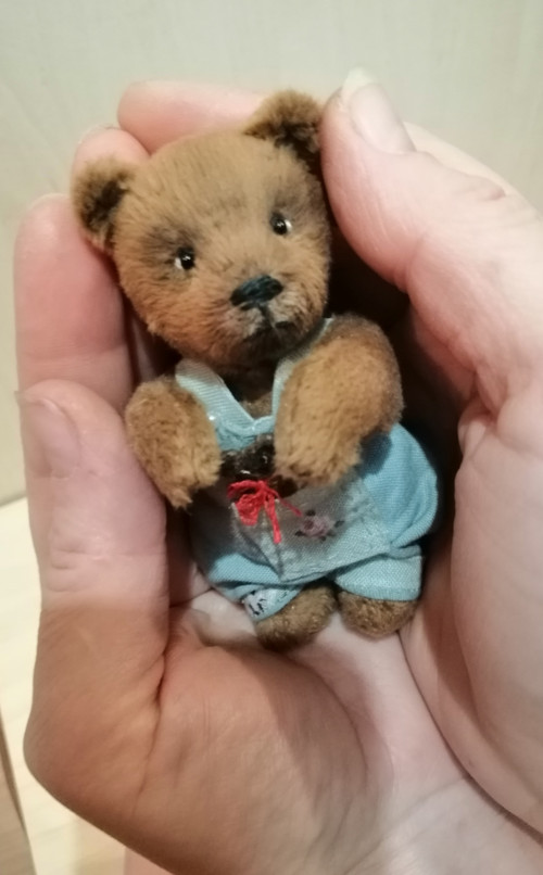 Mini medvídek — foto 3