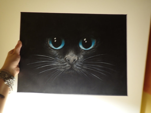 Oči kočičí, 30x40 — foto 3