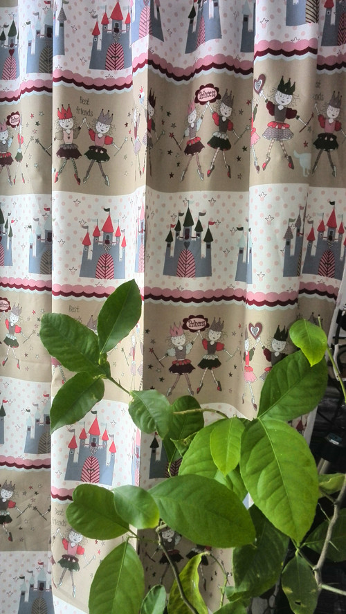 Závěsy pro princezny — foto 2