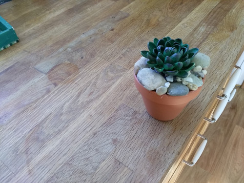 Netřesk — foto 4