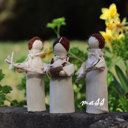 Malý koledník — foto 3