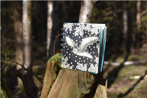 Notes střední Sova sněží — foto 2