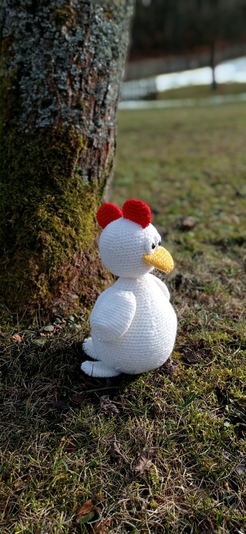 Háčkovaná slepička — foto 2