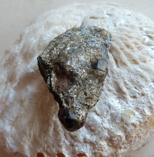 Granát - almandin - ve svoru - 4,7 cm — foto 2