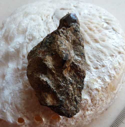 Granát - almandin - ve svoru - 4,7 cm — foto 6