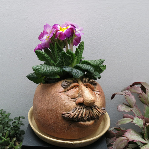 KVĚTNÍK-VALOUN..... — foto 3