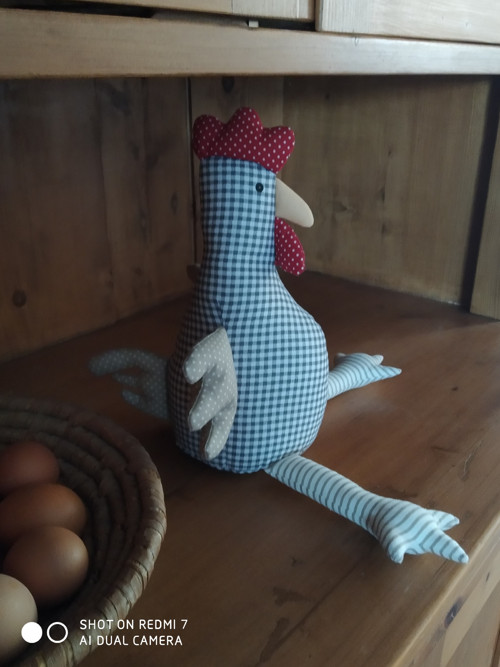 Slepice Henrieta — foto 4