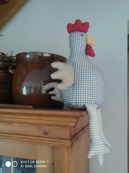 Slepice Henrieta — foto 6
