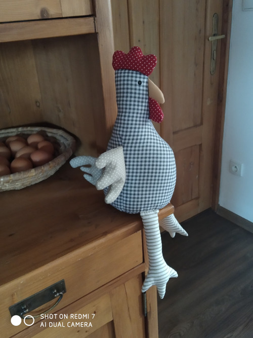 Slepice Henrieta — foto 3