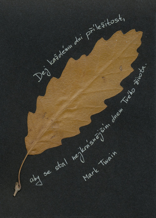 Nejkrásnější den — foto 2