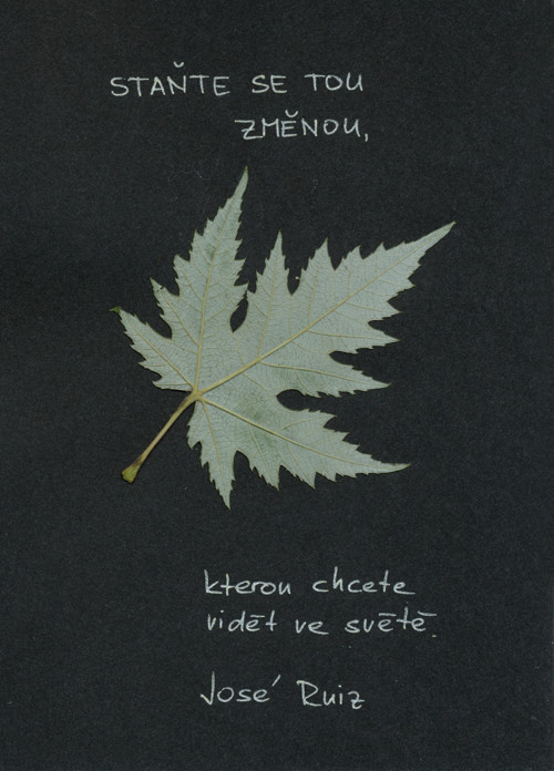 Staň se změnou — foto 2