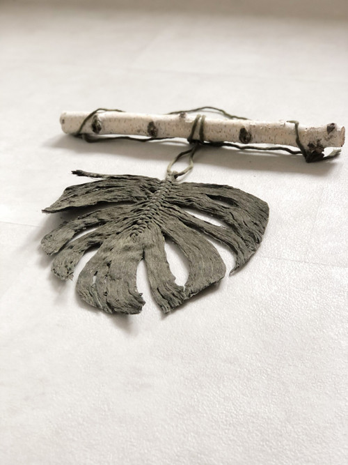 Monstera list — foto 3