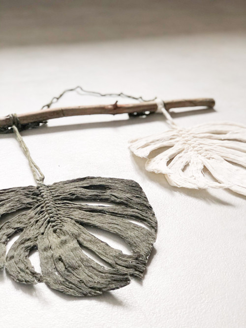 Set monstera listů — foto 3