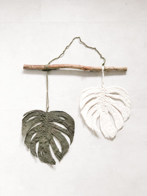 Set monstera listů — foto 2