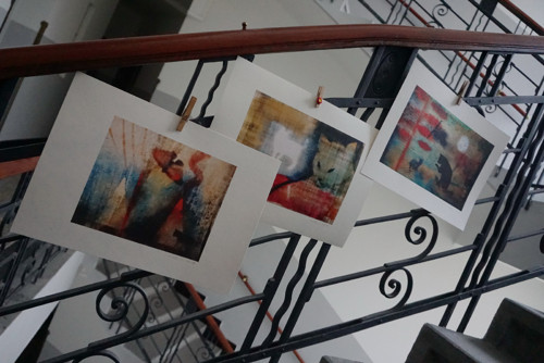 Cesty modré kočky I — foto 4