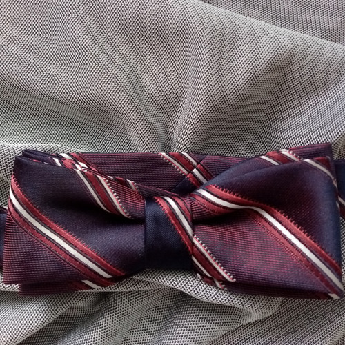 Motýlek pro každý den — foto 2