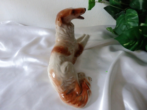 Ruský chrt barzoj — foto 4