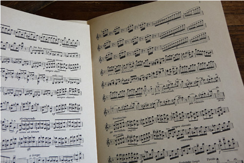 Fr. Liszt - Uherská rapsodie č.2 — foto 3