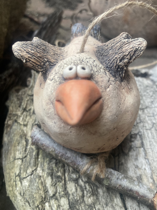 Jarní pták — foto 2