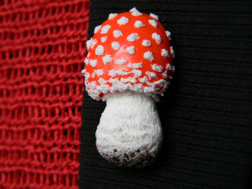 Fly Agaric — foto 4
