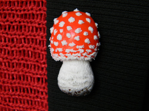 Fly Agaric — foto 3