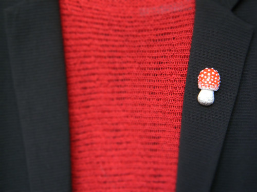 Fly Agaric — foto 5