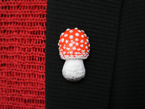 Fly Agaric — foto 2