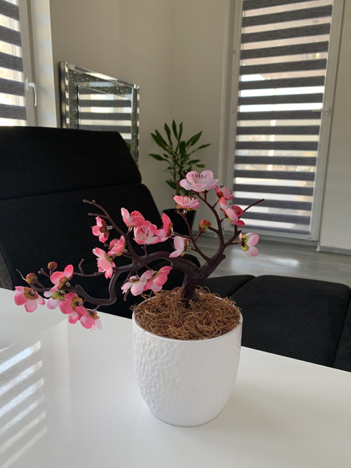 Sakura — foto 4