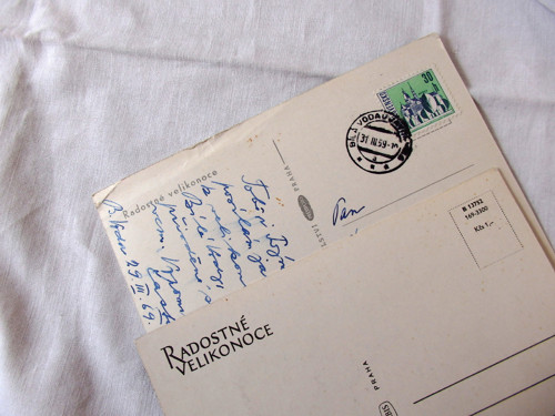 Sněženky a kočičky - pohlednice — foto 2
