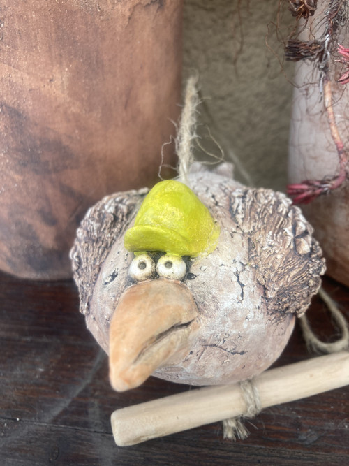 Jarní pták s čepicí — foto 4