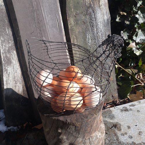 Pipikošík na vajíčka — foto 4