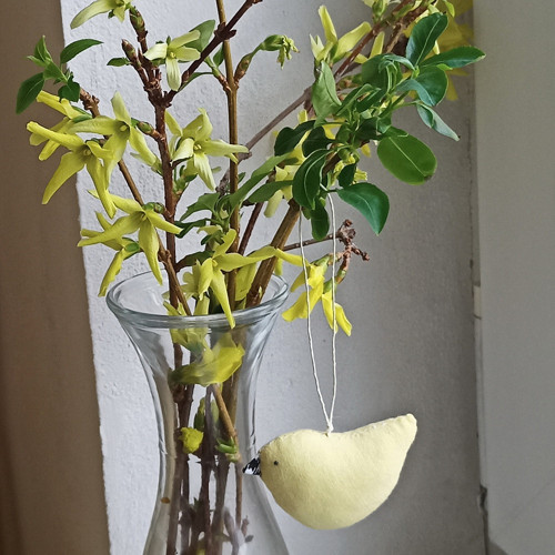 Ptáček žluťásek — foto 4