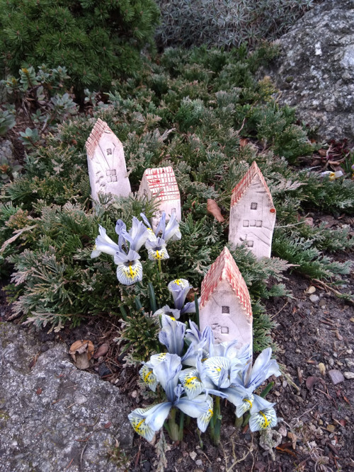 Jarní vesnička — foto 2