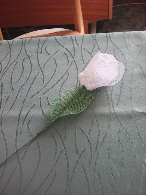Tulipánek 1 — foto 2