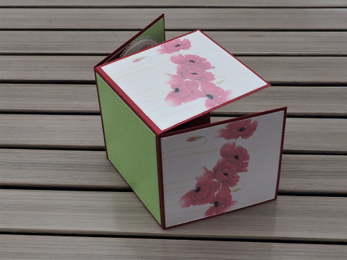 VLČÍ MÁKY - exploding box k 50. výročí — foto 6