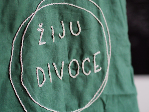 Plátěnka ŽIJU DIVOCE — foto 2