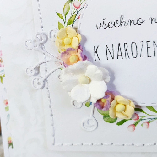 Blahopřání k narozeninám — foto 2