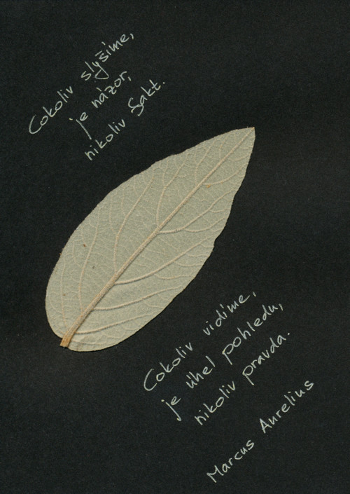 Úhel pohledu — foto 2