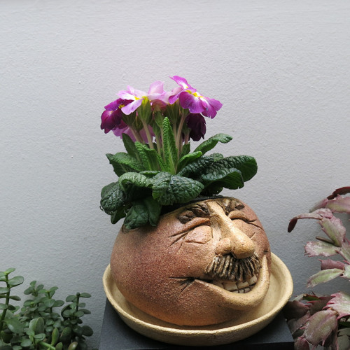 KVĚTNÍK-VALOUN..... — foto 3