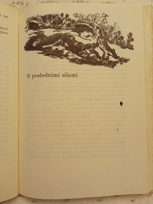 Potulný lovec - Karel Nový — foto 4