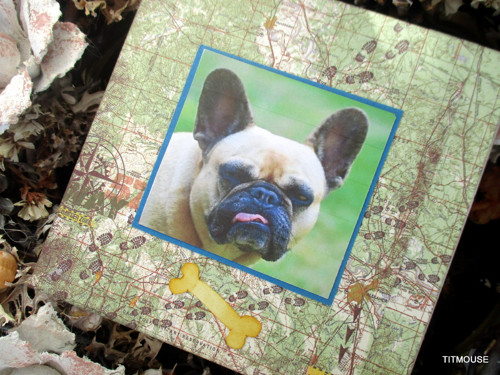 Maxi, stopa! — foto 2