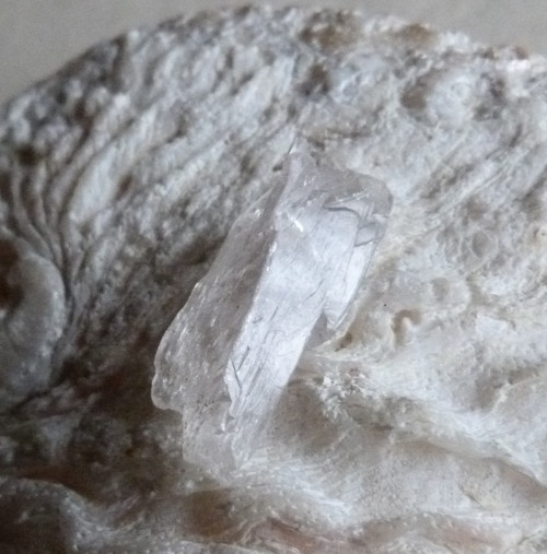 Kunzit - 3,1 cm — foto 6