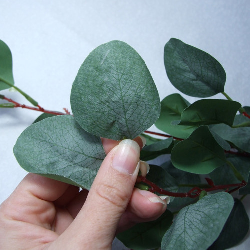 Eukalyptus s textilními listy — foto 2