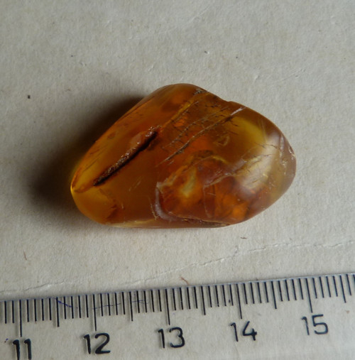 Jantar Polsko Gdaňsk - 3,2 cm — foto 4